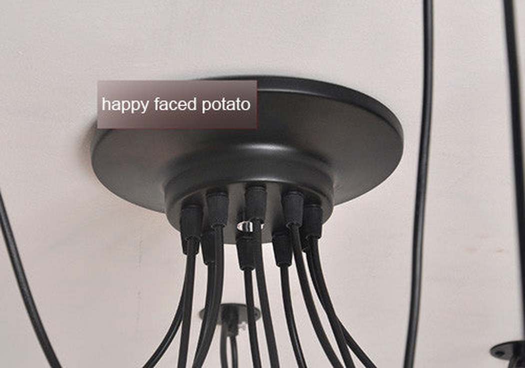 10 head Edison Bare Bulb Pendant Light Chandelier in Black - Image 6
