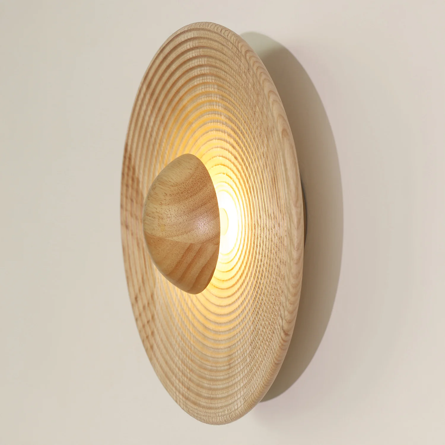 Birchwood Natural Wood Plate LED Wall Light