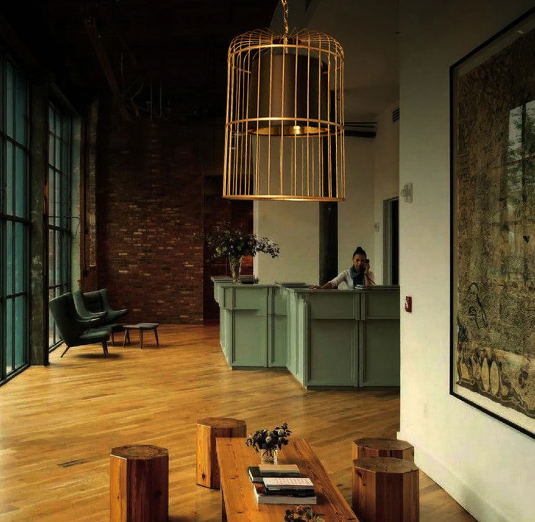 Brass Colour Bird Cage With Black Shade Pendant Light - Image 10
