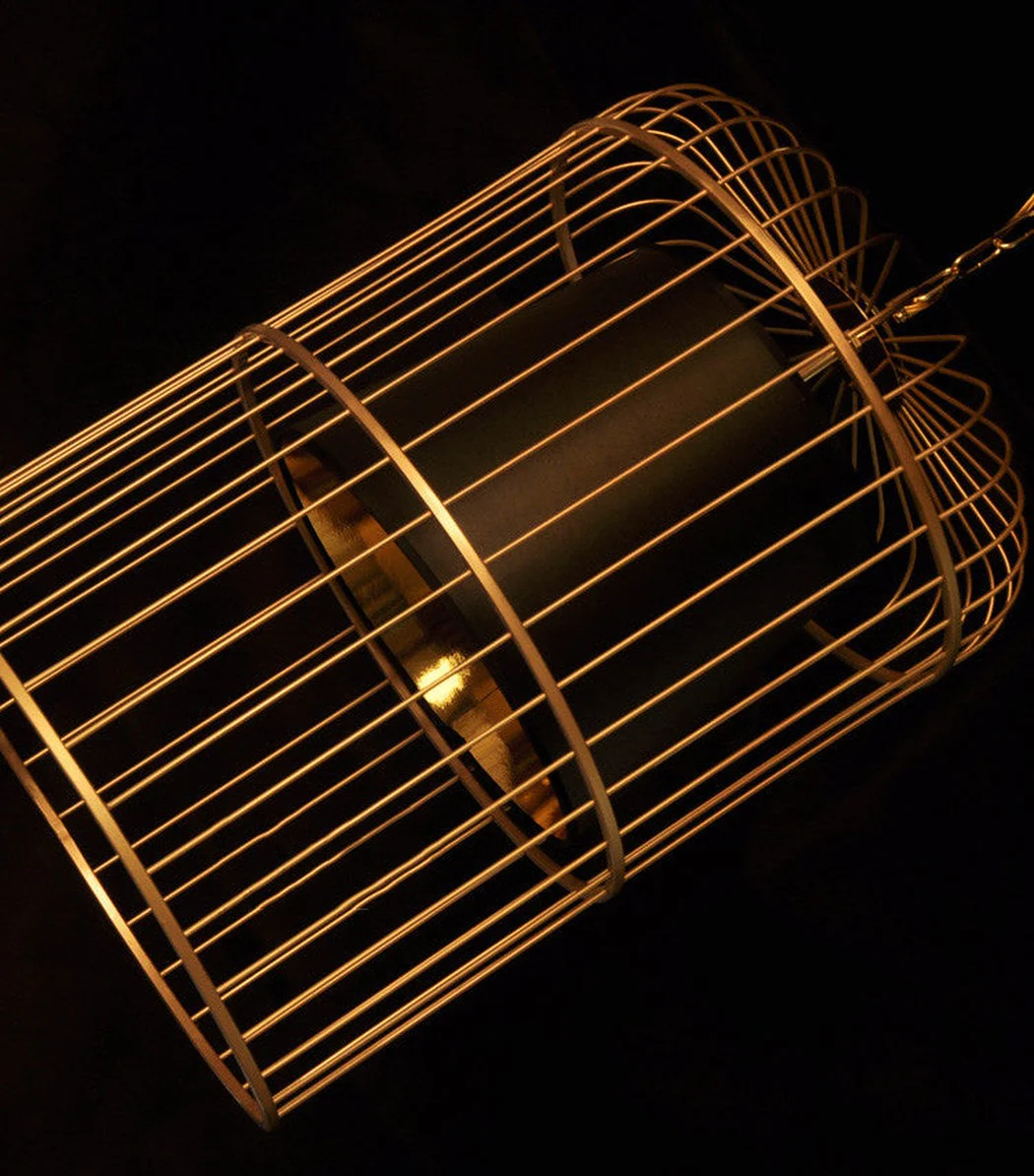 Brass Colour Bird Cage With Black Shade Pendant Light - Image 13