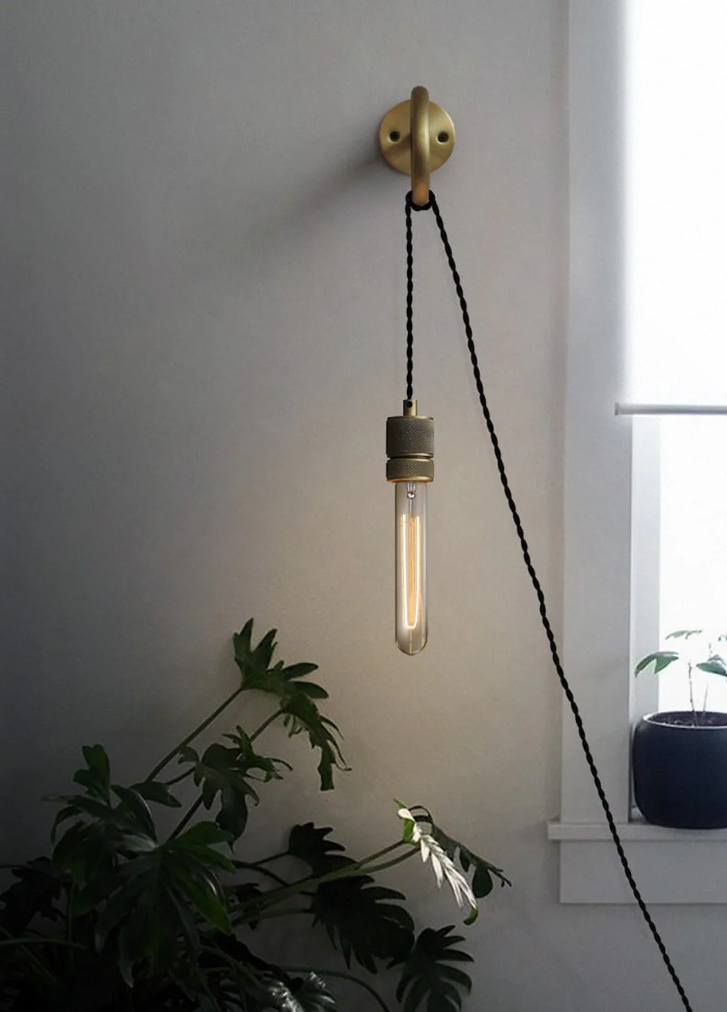 Circus Loop Brass Wall Light With Wall Plug - Image 19
