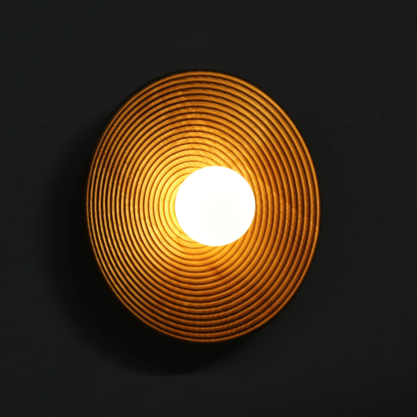 Longleaf Natural Wooden Plate Wall Light - Image 4