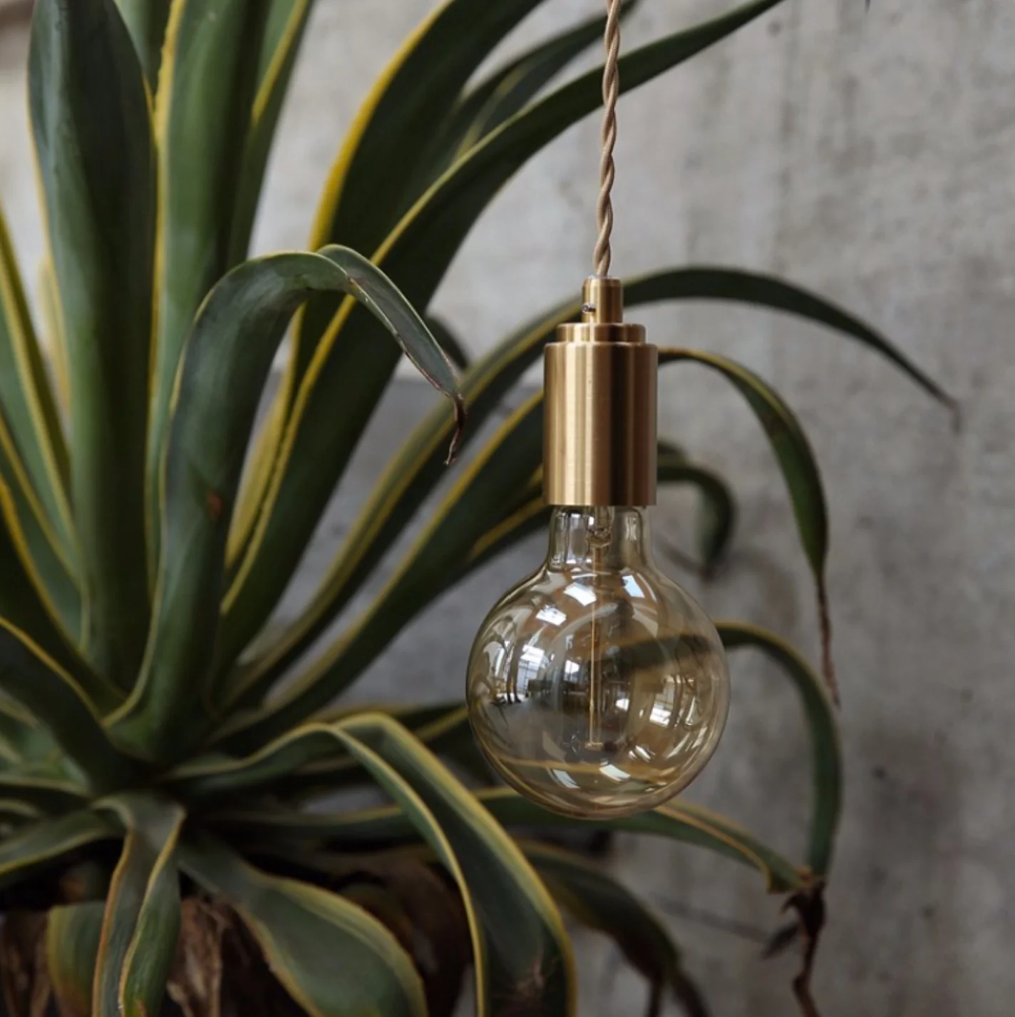 Mono Brass Gold fitting Pendant Light - Image 6